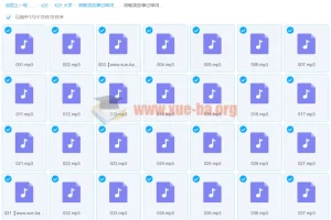 胡敏读故事记单词：大学英语四级+六级词汇