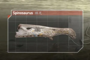 3 – 8岁儿童启蒙必看纪录片精选合集