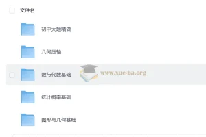 初中数学大题几何、代数、统计专项PDF资料合集