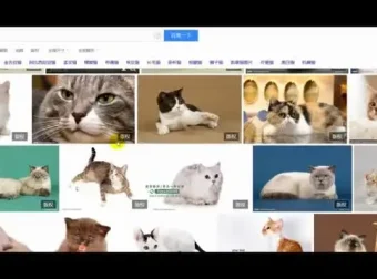 【抖音运营实战】从零到百万粉丝：账号定位与视频制作全攻略