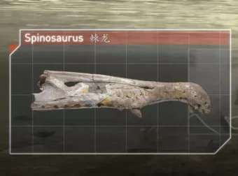 3 – 8岁儿童启蒙必看纪录片精选合集