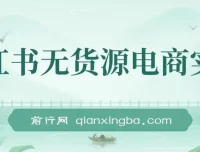 2024新电商风口：小红书无货源电商实战课程