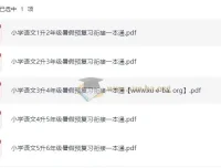 《暑假预复习衔接一本通：小学语文（2025年版）》