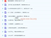 像麦肯锡顾问一样思考21讲课程