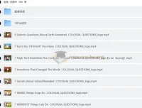 油管知识科普问答节目《Colossal Questions》