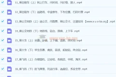 像外国人一样学英语：沉浸式英语50讲 – 马正扬Ma