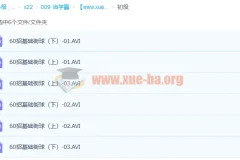 140招街球篮球初中高级教学视频分享