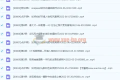 杨精坤手机摄影21天提升训练营：掌握手机风光摄影进阶技巧