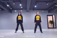 零基础学网红舞：全套舞蹈视频教程