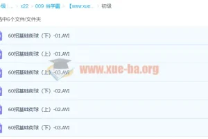 140招街球篮球初中高级教学视频分享