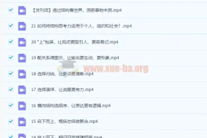 像麦肯锡顾问一样思考21讲课程