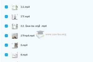 林缘考研暑期班课程