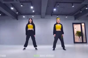 零基础学网红舞：全套舞蹈视频教程