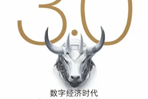 《价值投资3.0：数字经济时代如何寻找百倍成长股》