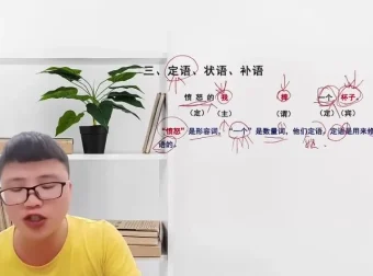 《梓墨说语》第4季：小学语文必会成语精讲30课+语法3讲