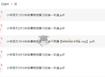 《暑假预复习衔接一本通：小学语文（2025年版）》