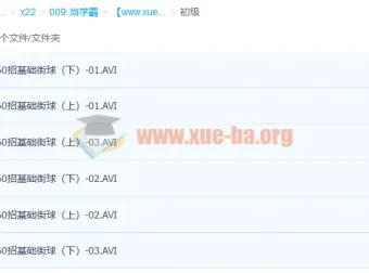140招街球篮球初中高级教学视频分享