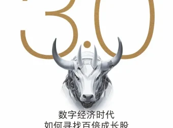 《价值投资3.0：数字经济时代如何寻找百倍成长股》