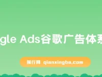 Google Ads谷歌广告体系化教程：从0到1由新手晋级高手必修
