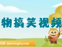 AI一键生成原创动物搞笑视频，开启流量收益之路