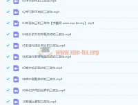 周若男2020九年级秋季政治课程（16讲完结）