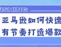 亚马逊爆款快速有节奏打造课程