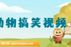 AI一键生成原创动物搞笑视频，开启流量收益之路