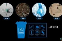 乐乐课堂生物大百科动画视频课程：轻松掌握生物知识