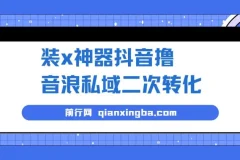 抖音撸音浪私域二次转化项目：风口商机，轻松变现