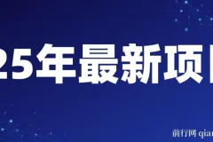 2025年开年落地好项目：视频号掘金，一天收益1000+