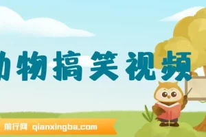 AI一键生成原创动物搞笑视频，开启流量收益之路