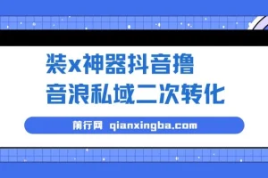 抖音撸音浪私域二次转化项目：风口商机，轻松变现