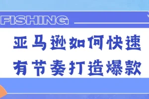 亚马逊爆款快速有节奏打造课程