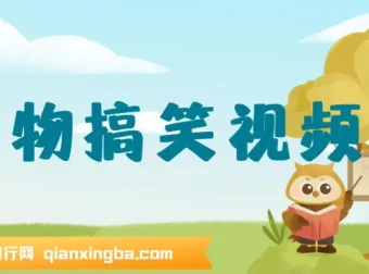 AI一键生成原创动物搞笑视频，开启流量收益之路