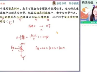 2024高一物理精讲班【林婉晴】