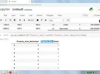 Python数据处理实战：真实场景案例与源码解析
