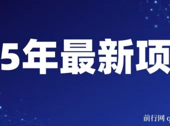 2025年开年落地好项目：视频号掘金，一天收益1000+