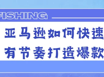 亚马逊爆款快速有节奏打造课程