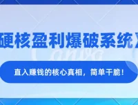 《硬核盈利爆破系统》：直入赚钱核心真相