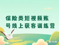 保险类短视频账号线上获客与搞钱实战训练营