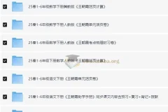 王朝霞 2025 春小学语数英学习资料包