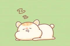 21天高效休息法训练营