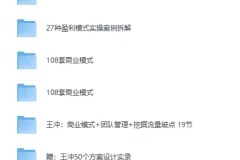 王冲 – 《27种盈利模式课程合集》