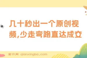 学科项目1.0+2.0：快速产出原创视频，少走弯路直达成交