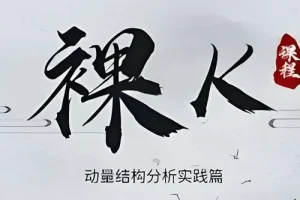 智投学宫老K：裸K动量结构分析凌云篇