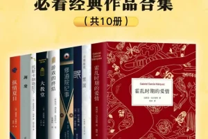《豆瓣8.0以上高分经典文学作品》全10册