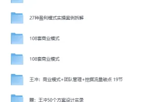 王冲 – 《27种盈利模式课程合集》