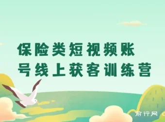 保险类短视频账号线上获客与搞钱实战训练营