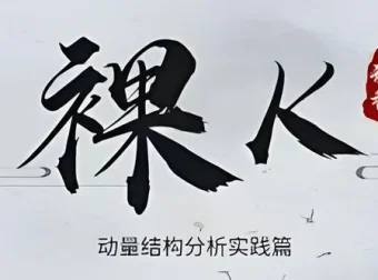 智投学宫老K：裸K动量结构分析凌云篇