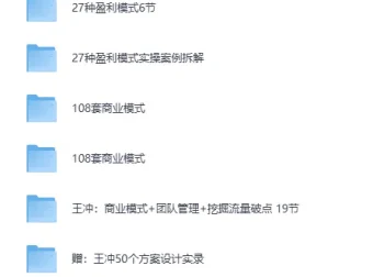 王冲 – 《27种盈利模式课程合集》